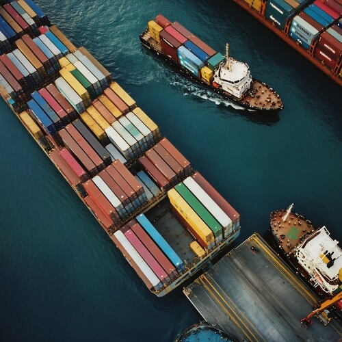 Export & Import