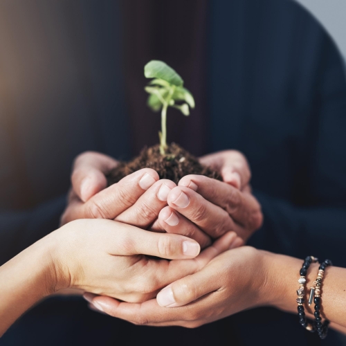 Non-Profit Organizations