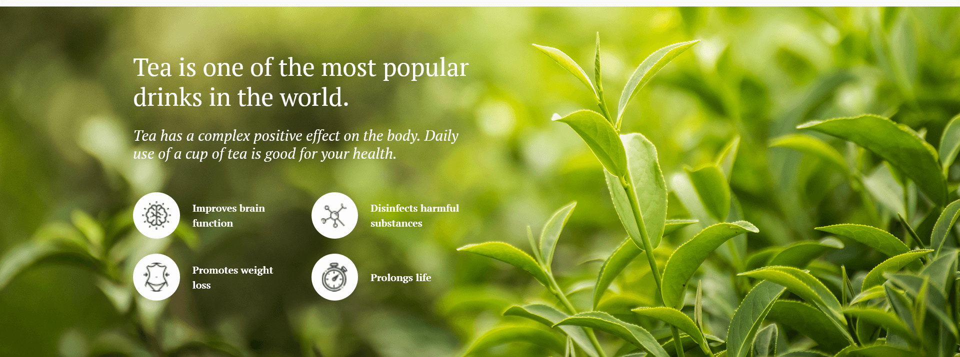 hindvanitea.com
